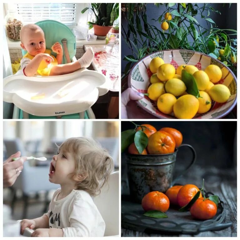 С какого возраста можно давать ребёнку мандарины. Ребенок дает мандарин. Апельсин для детей. Как правильно выбрать мандарины. Цитрусовые детям с какого возраста.