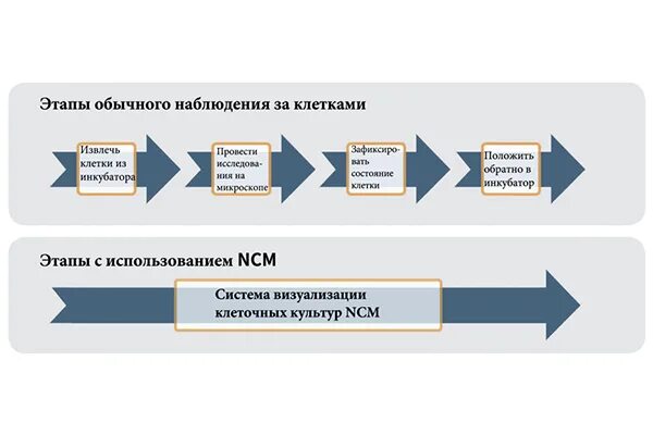 Система визуализации. Система визуализации