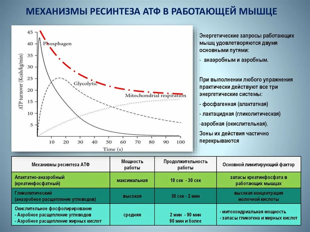 Максимальная зона мощности работы. Зоны мощности в циклических видах спорта. зоны относительной мощности в спортивных упражнениях. зоны относительной мощности в циклических видах спорта. зоны мощности.