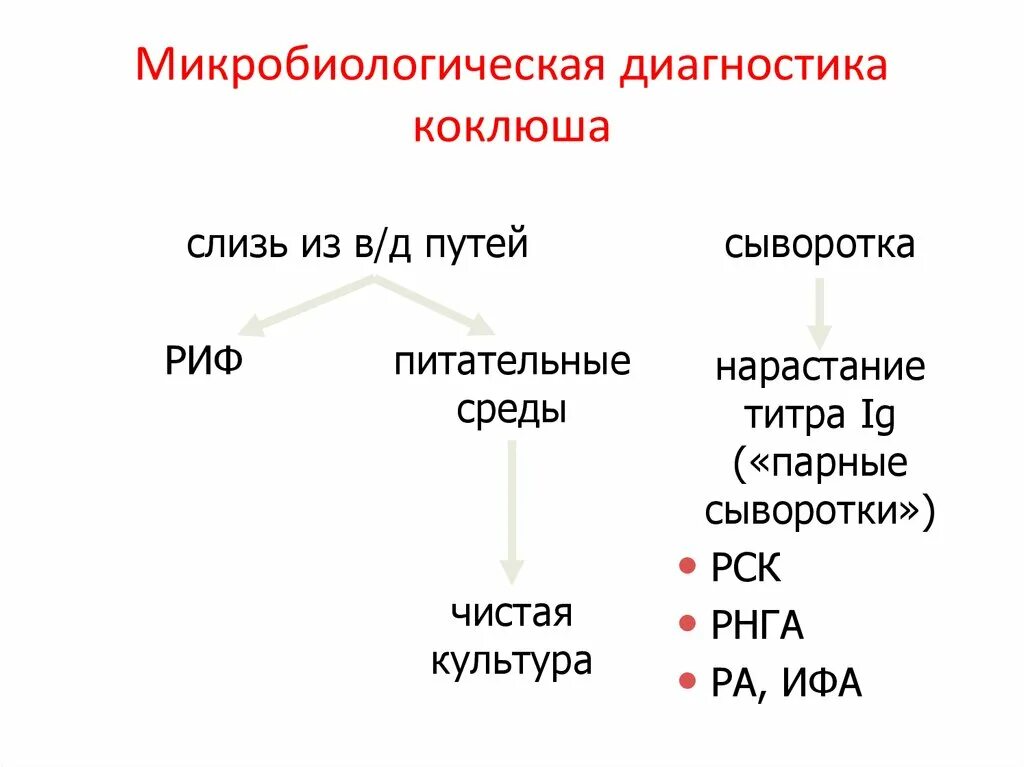 Схема лабораторной диагностики коклюша. Коклюш материал для микробиологических исследований. Бактериологическое исследование при коклюше. Паракоклюш материал для микробиологических исследований.