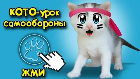 Ану ка