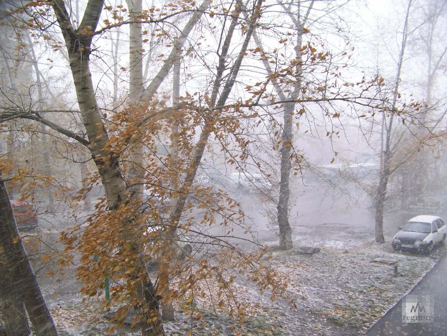 Снежная буря Барнаул. Первый снег Барнаул. В Барнауле выпал снег. Снегопад в Барнауле. Ноябре выпадет снег