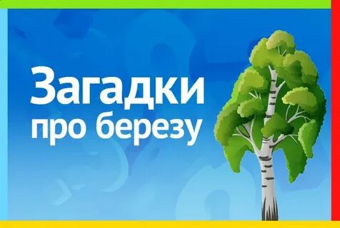 Загадка про березу для дошкольников