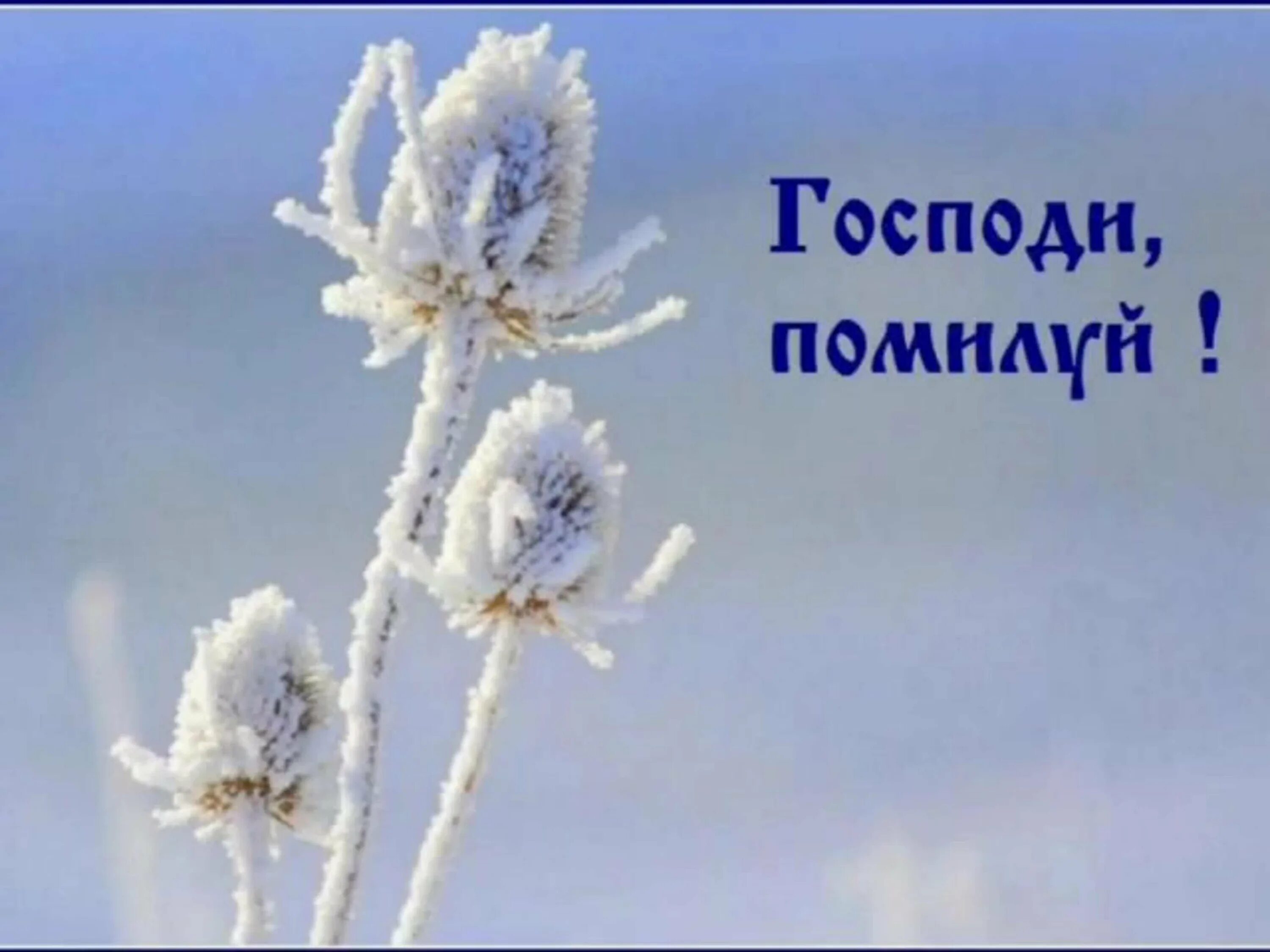 С последним месяцем зимы доброе утро