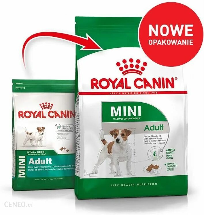 Royal canin роял канин. Роял канин для собак мини эдалт. корм роял канин для собак мелких пород adult. роял канин эдалт для собак мелких. роял канин для мелких пород собак до 10 лет.