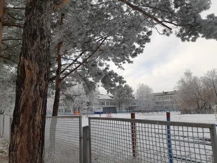 Сколько градусов в сосновоборске