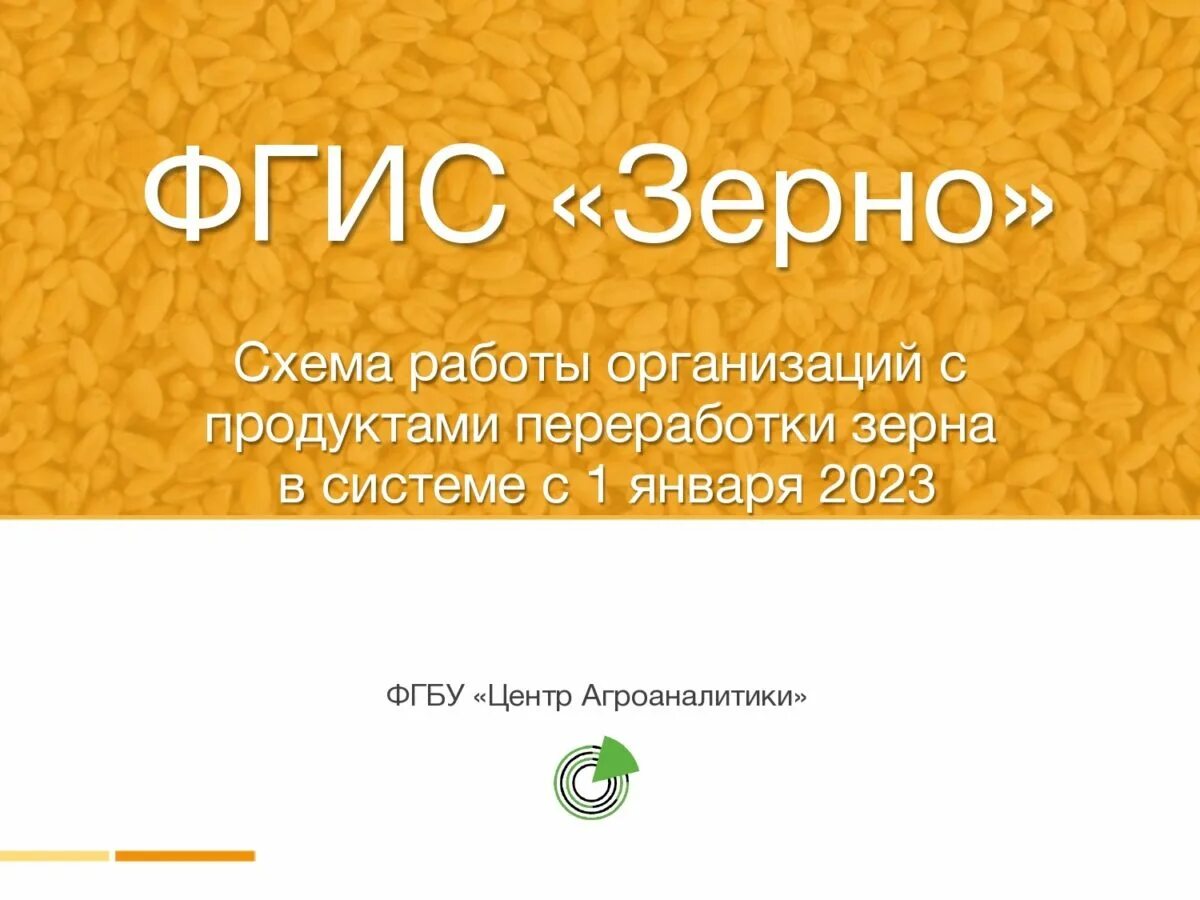Ячмень пшонка. Фильтр зерно. Информационная система зерна. Фгис зерно картинки. Зерновые культуры семена.