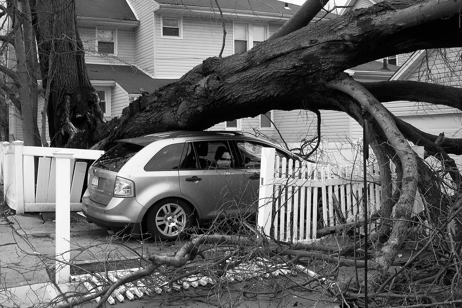 Ураганный ветер. Ураган ветер. Упавшее дерево. Сильный ветер ураган.