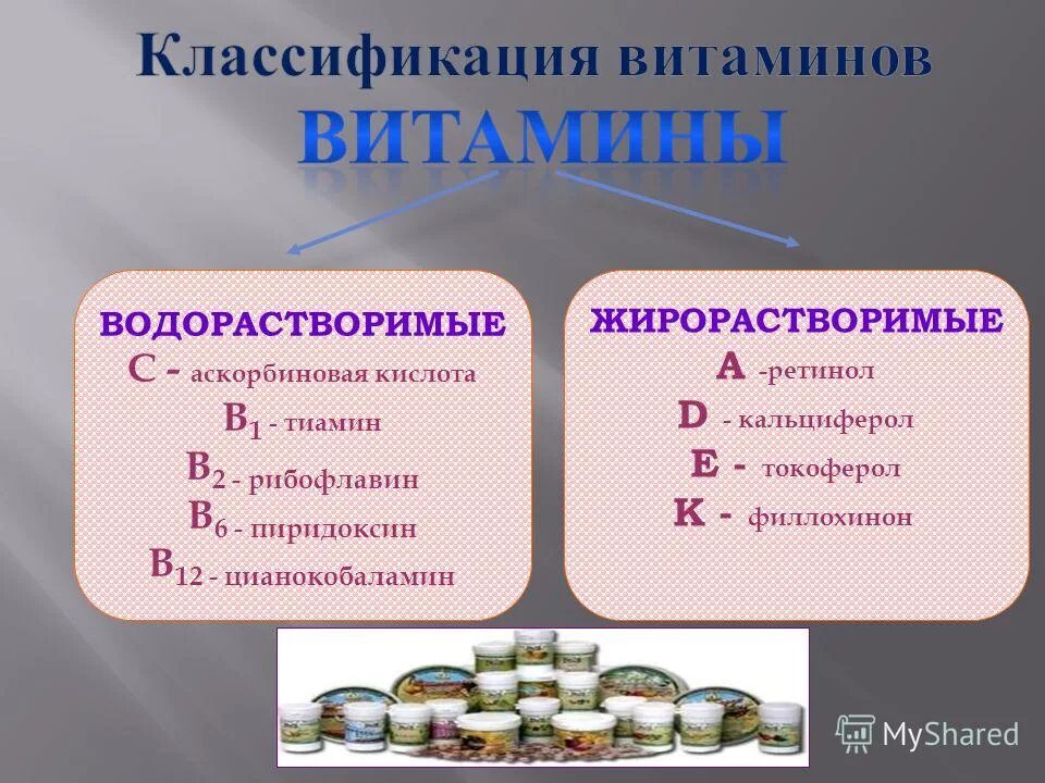 1 водорастворимые витамины