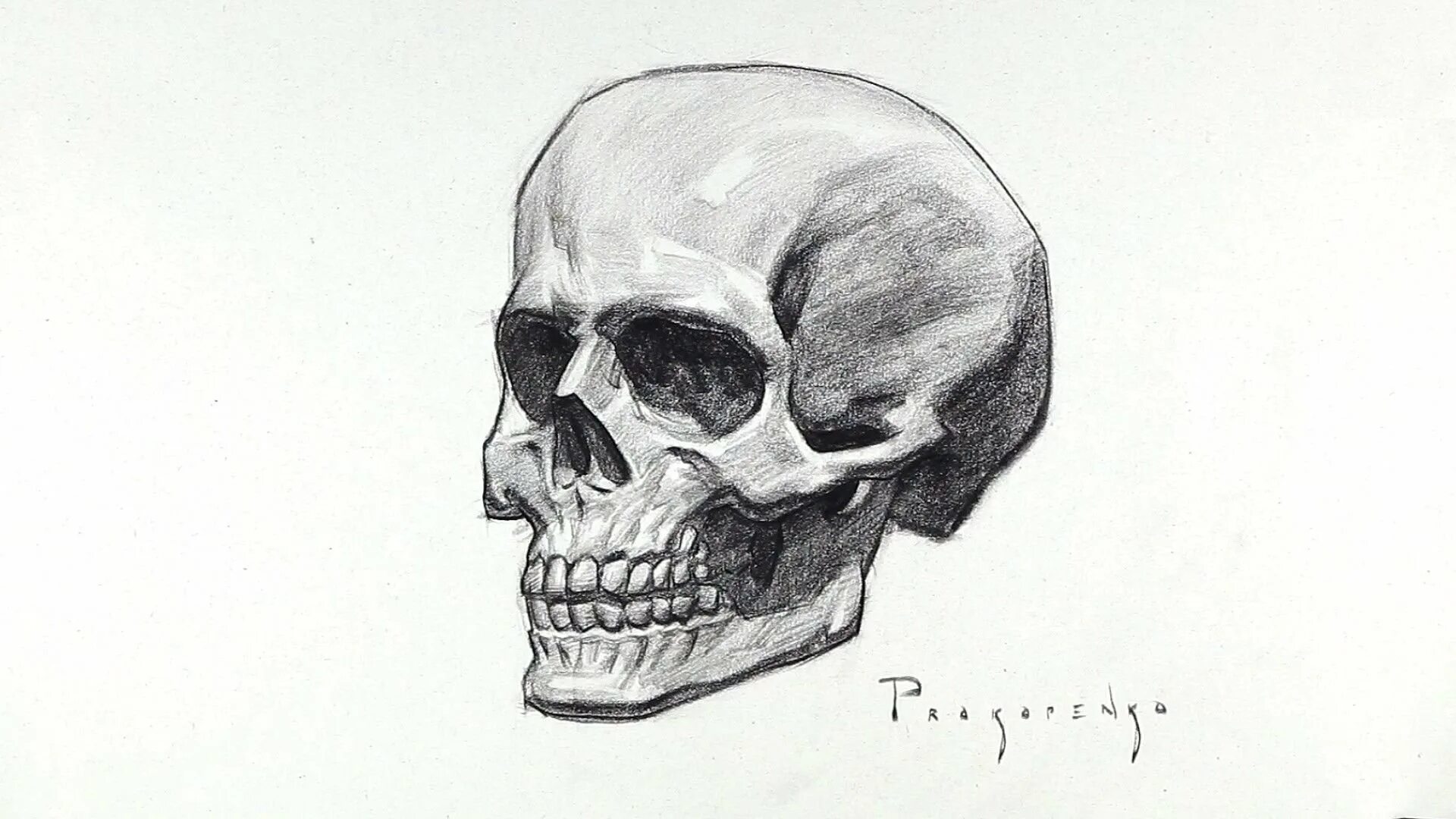 На рисунке 2 изображен череп. Череп рисунок. череп для рисования. череп в профиль эскиз.