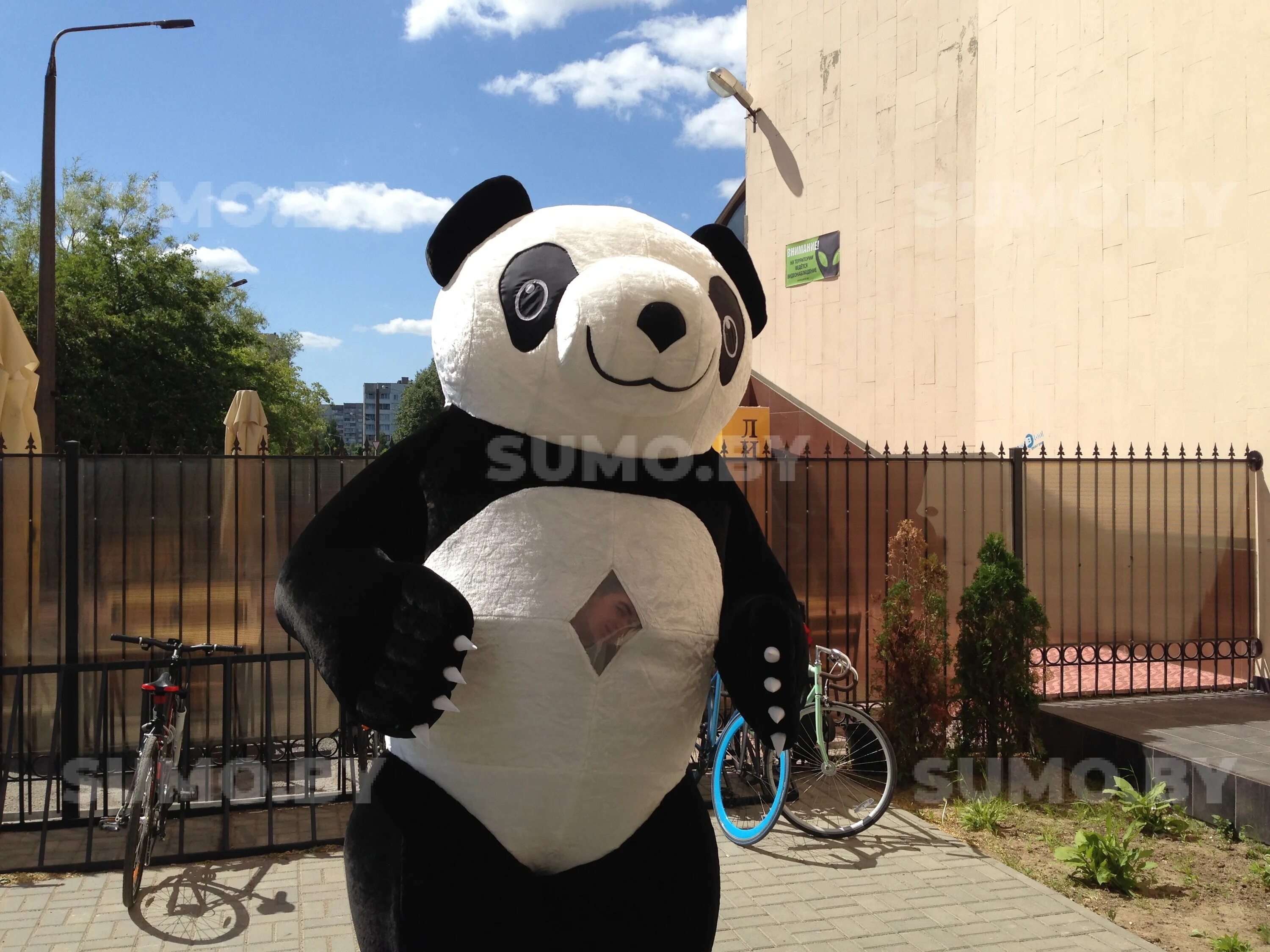 ростовой костюм панды. панда ру. ростовая кукла панда. арендовать панду. платье панды.