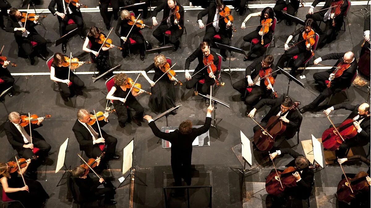 National orchestra. Треугольник в оркестре. Шотландский симфонический оркестр. Танец оркестр. Музыкальный треугольник в оркестре.