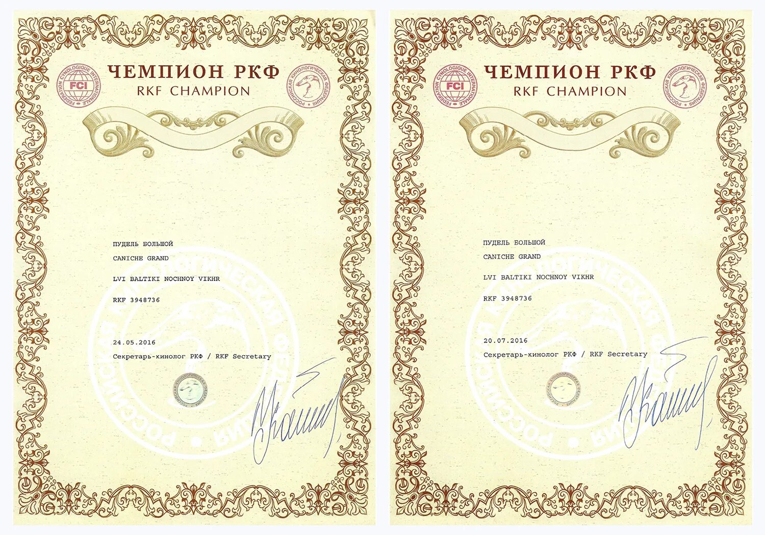 Диплом чемпион ркф. Титул гранд чемпион ркф. Чемпион ркф как получить. Чемпион россии ркф бланк. Титулы собак ркф.