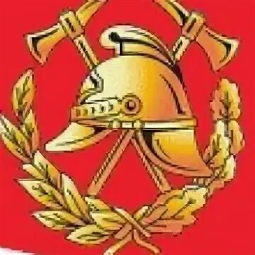 Виды служб пожарной охраны