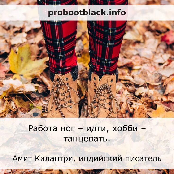 Сапог фразы. Фразы про ноги. цитаты про ноги. фразы про обувь. цитаты про обувь.