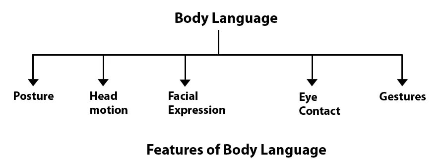 Lay language. What is body language. body language in communication. types of body language. posture body language.