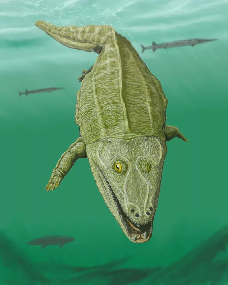 Воздушная рептилия. Амфибия Мастодонзавр. Лабиринтодонты Триасового периода. Мастодонзавр динозавр. Мастодонзавр скелет.
