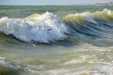 Песня волны в черном море