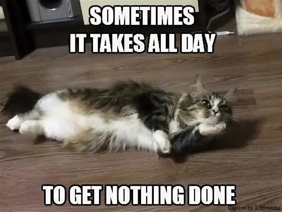 Doing nothing. What are you doing nothing плакат. I m doing nothing. Мем do nothing. Doing nothing.