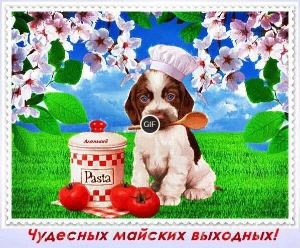 Добрые выходные гифы