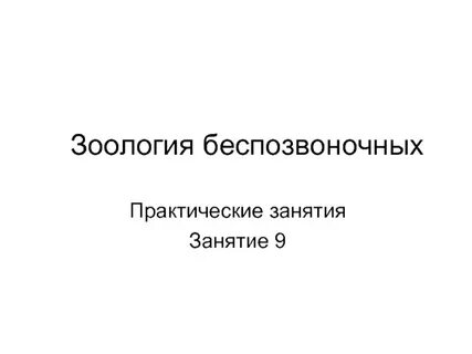 Зоология беспозвоночных