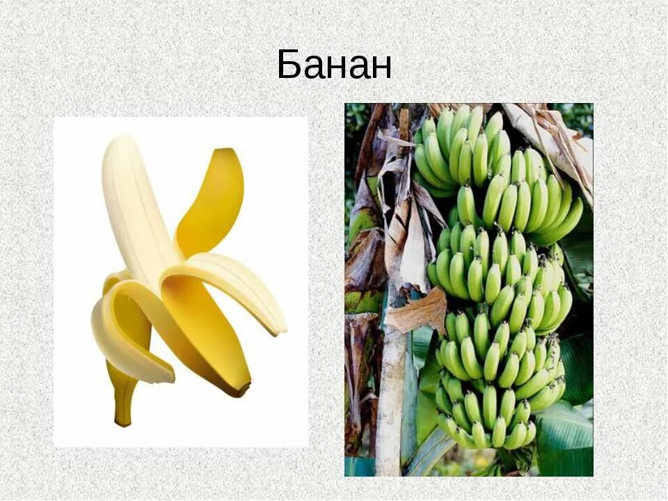 Бананы 2 класс