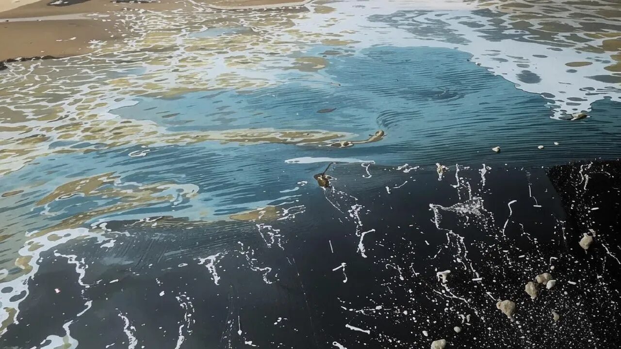 Мазут в черном море дошел до абхазии. Мазут в черном море дошел до абхазии