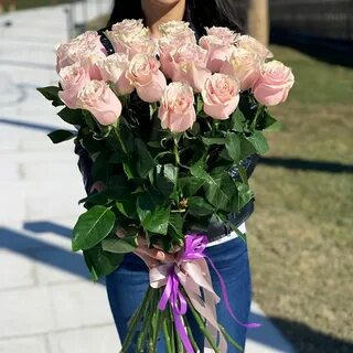 Розы голландия