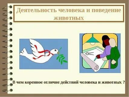 Действие отличается от поведения. Действие отличается от поведения