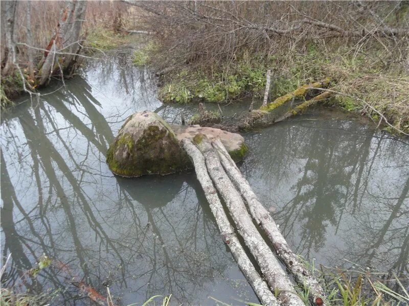 Что означает слово бочаг в рассказе. Святой бочаг. водоем бочаг. ведьмин стул кострома. ведьмин стул костромская область.