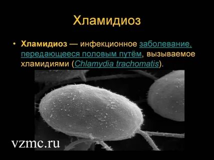 Инфекция 6 букв