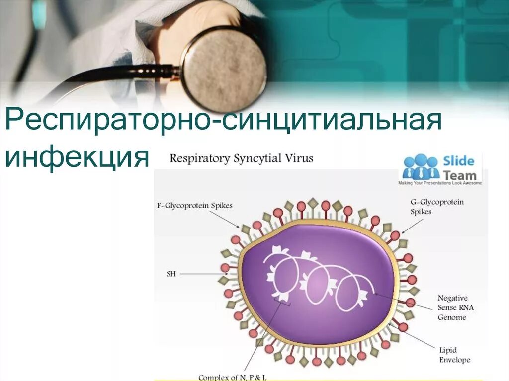 Respiratory virus. Респираторно стнтиуиалтная инфекция. Респираторно-синцитиальная инфекция. Респираиррно син2мтиальнач иныекция. Респиратор – синцитиал инфекция.