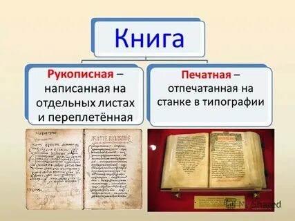 Чем они отличаются книга