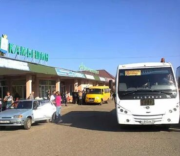 Номер камышин