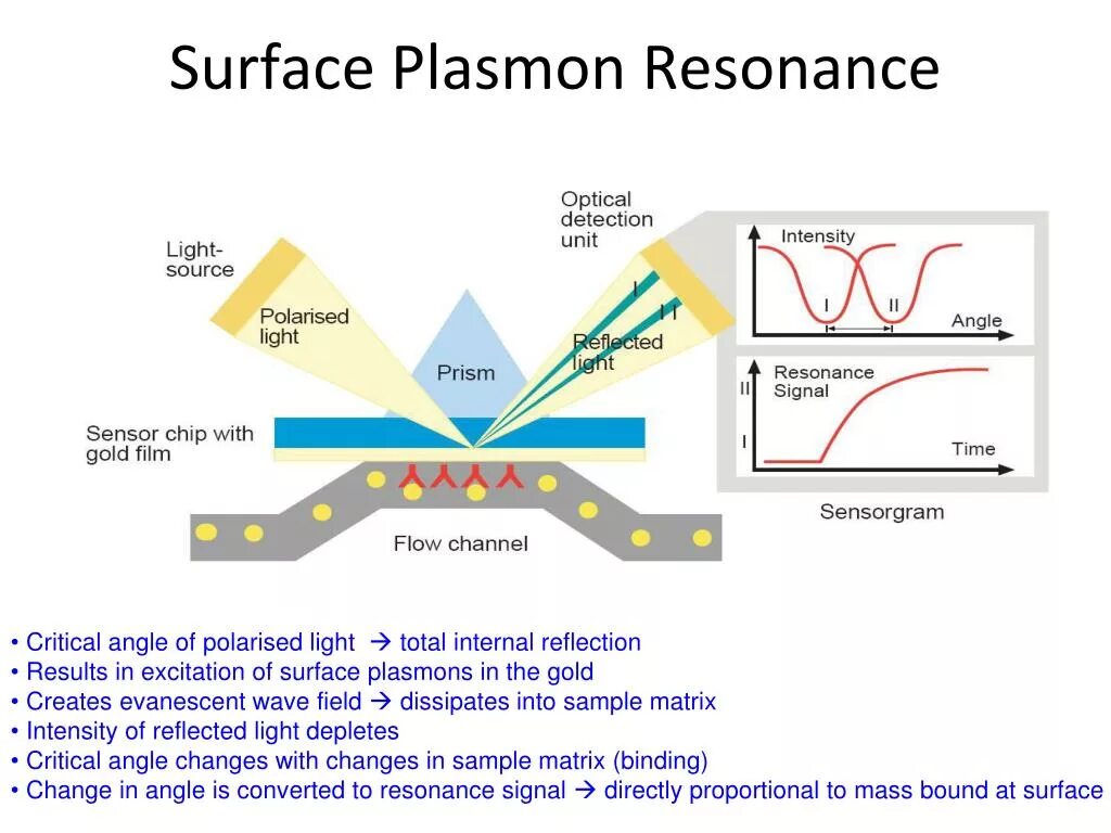 Surface Plasmon Resonance. Поверхностные плазмоны. Плазмонный резонанс SPR. Поверхностный плазмонный резонанс (SPR).