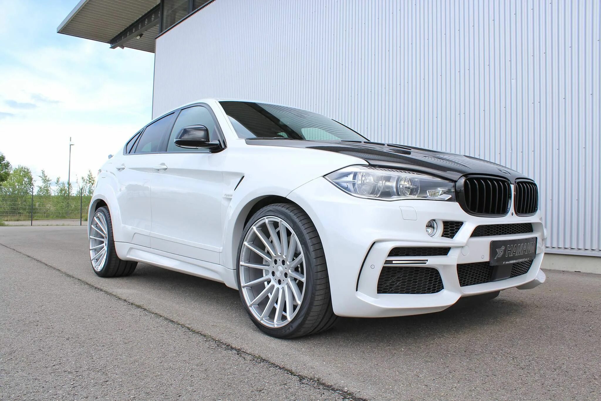 X 6 20 10. X6 f16 Hamann. БМВ x6 Хаман белый. BMW x6 на дисках Hamann. Диски для BMW x6 Hamann r20.