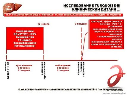 Срок лечения печени
