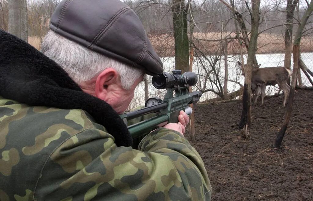 лицензия на охоту. вид охотничьих ресурсов расшифровка пт. бланки разрешений на добычу птиц. виды охотничьих ресурсов. виды охотничьих ресурсов.