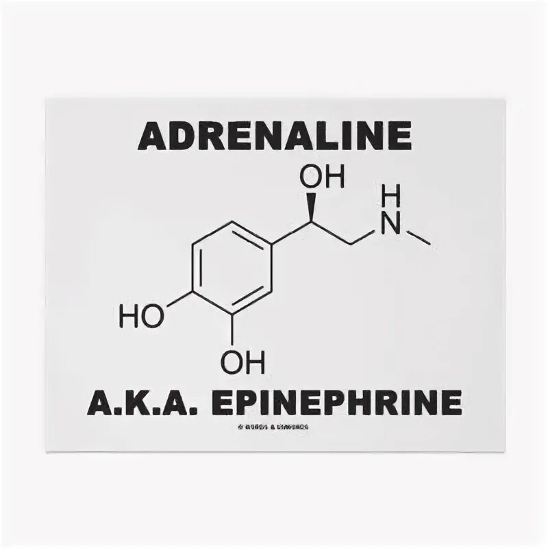 Adrenaline перевод