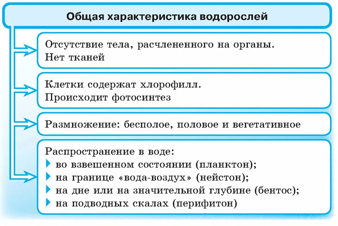 Характеристика водорослей таблица. Общая характеристика водорослей. Водоросли характеристика таблица. Отделы водорослей таблица. Водоросли ОГЭ биология.