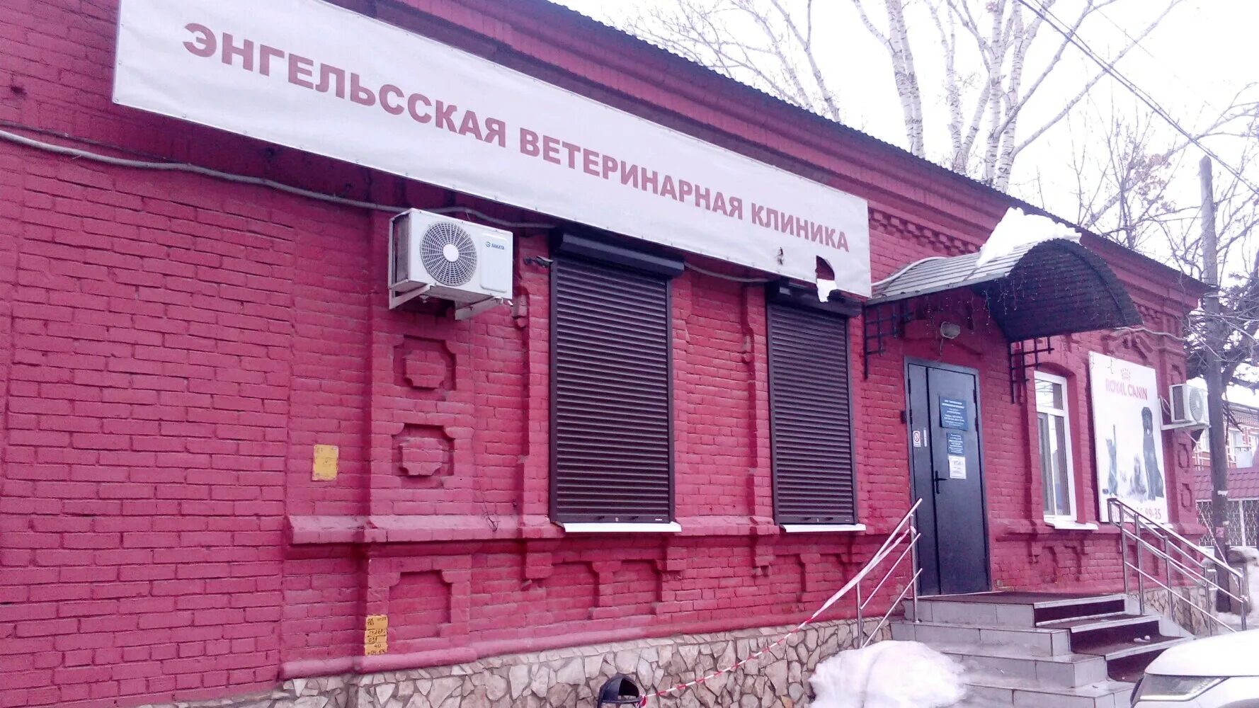 Ветеринарная клиника ул энгельса 46 фото