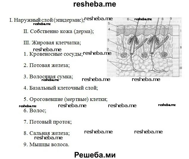 Урок кожа 8 класс биология. Строение кожи биология 8 класс Сонин. Названия структур кожи обозначенных цифрами. Название слоев и структур кожи рисунок обозначенных цифрами. Напишите названия структур кожи обозначенных цифрами.