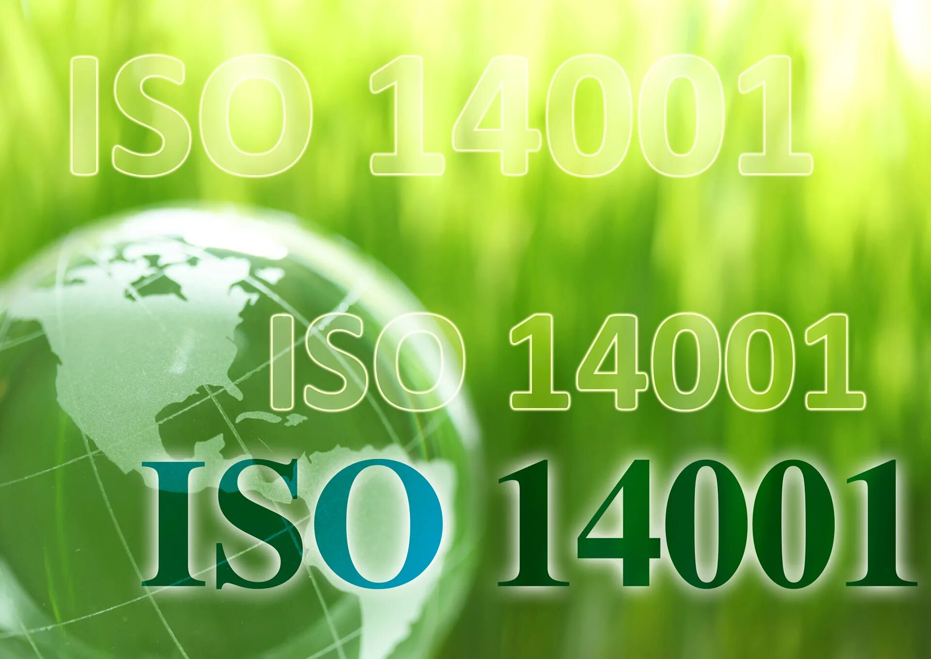 Гост р исо 14001 2016 эталон гарант. Международные стандарты ИСО ISO 14001. Международный стандарт ISO 14001. Standard ISO 14001.. ISO 14001 картинка.