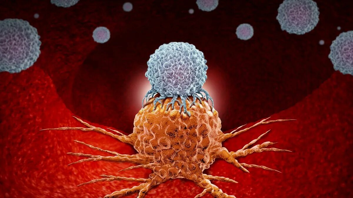 Злокачественные клетки. Уничтожить раковые клетки. Уничтожить раковые клетки. Гибель клетки апоптоз. Продукты которые убивают раковые клетки.