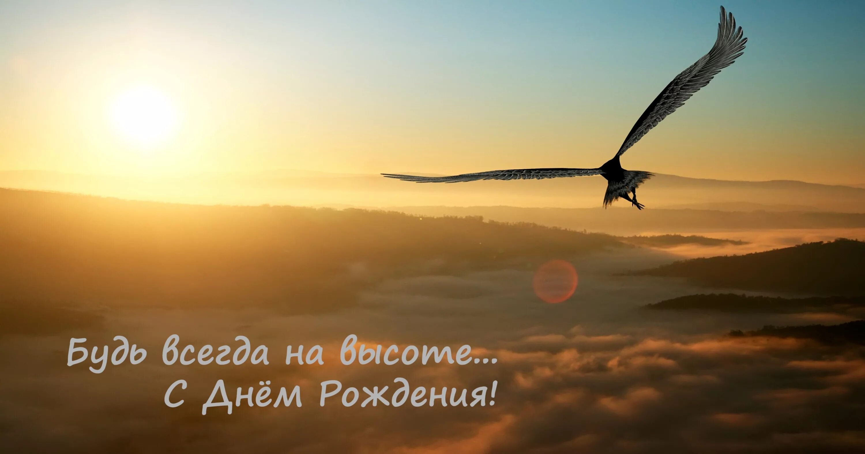 Всегда желаем быть на высоте. Птица высокого полета. будь всегда на высоте с днем рождения. с днем рождения орел. с днём рождения мужчине с орлом.