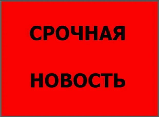 Срочно тип. Срочно информация. пивхаус когалым. пометка срочно. срочно в друзья.