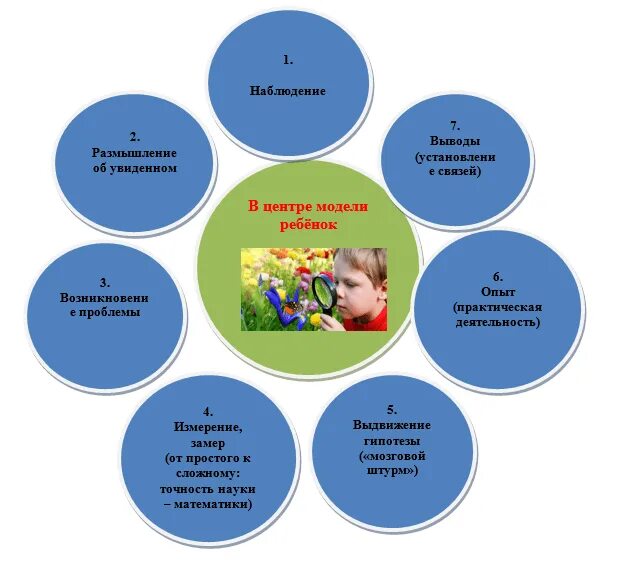 Модель познавательно исследовательской деятельности в ДОУ. Направления исследовательской деятельности в ДОУ. Опытно исследовательская деятельность дети. Развитие исследовательской деятельности дошкольников. Организации исследовательской деятельности дошкольников