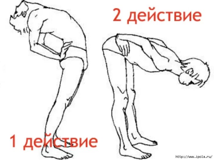 Какие упражнения делать для кишечника. Упражнения от запора. упражнения для кишечника при запорах. гимнастика для кишечника при запорах у взрослых. запор упражнения для кишечника.