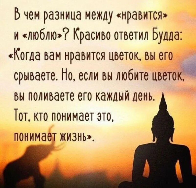 Красиво ответить как жизнь
