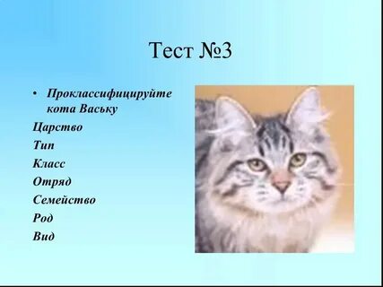 Основы систематики животных заложил